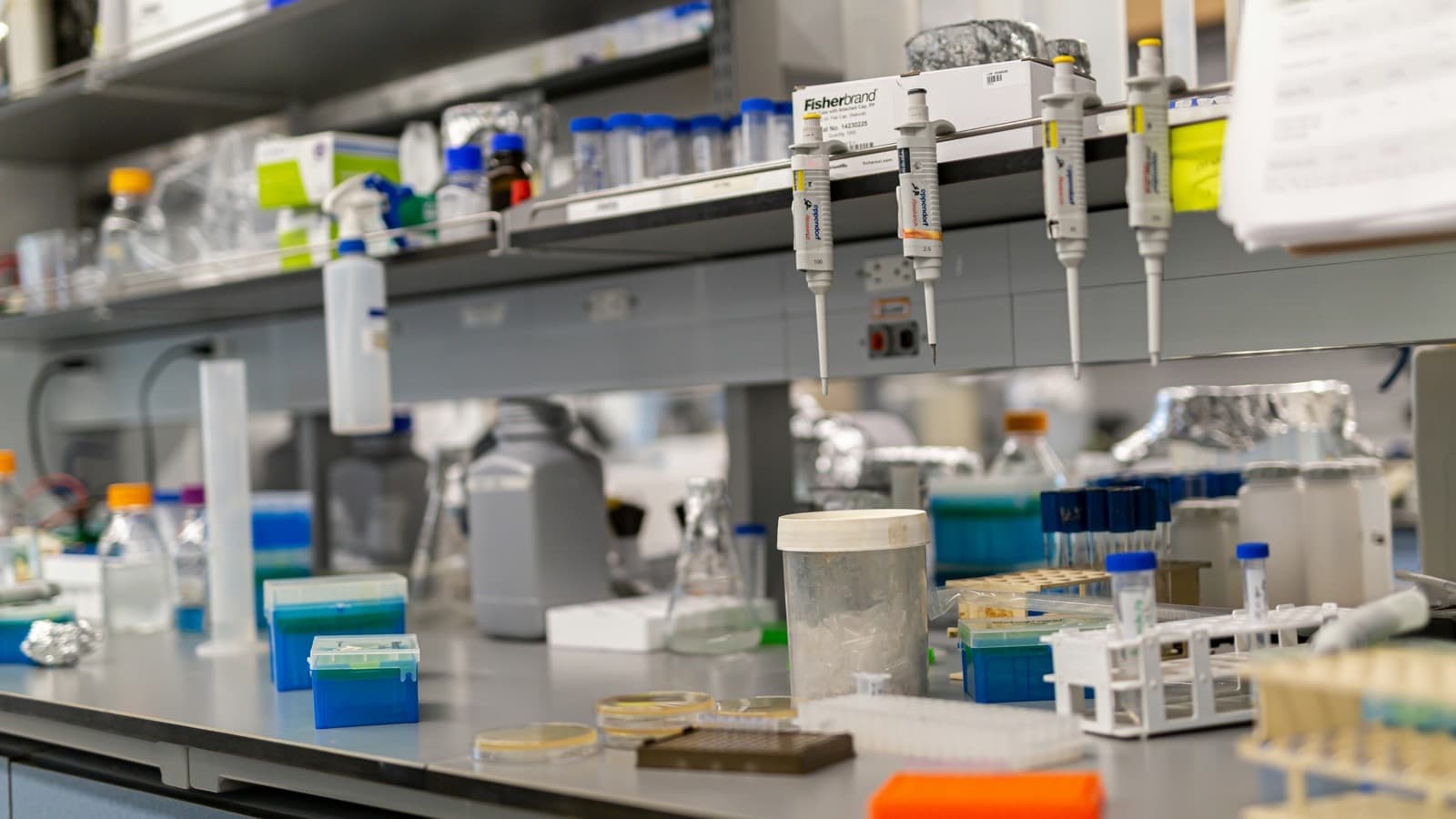 How a lab registers a received sample, from the box to the clock