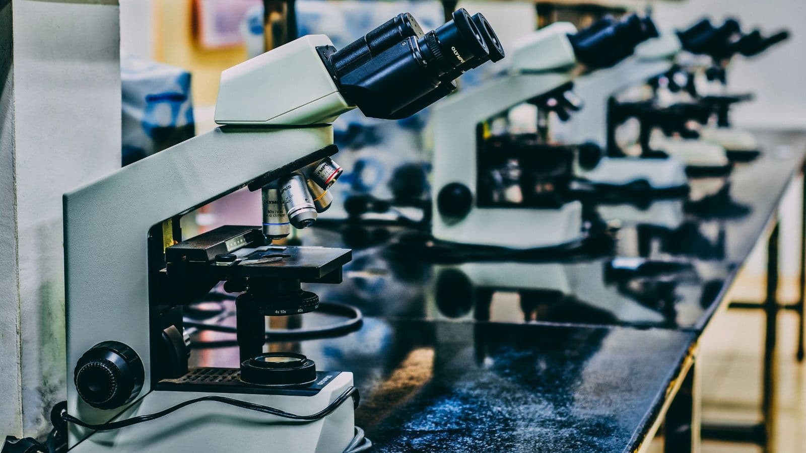 What a client portal actually saves a lab in phone calls and email
