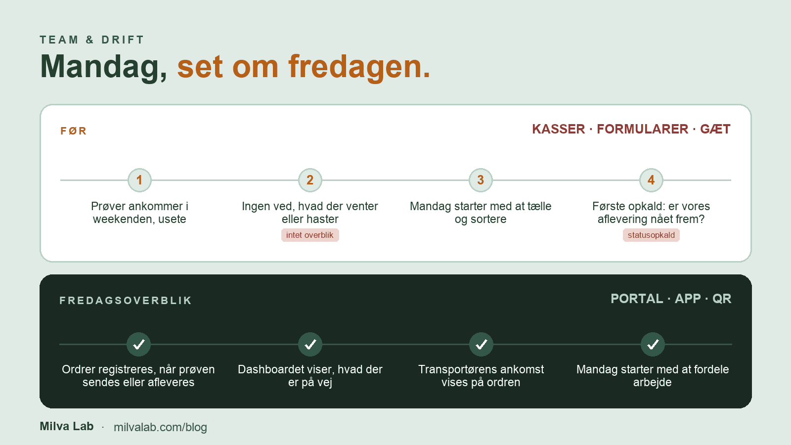 Mandagsbunken: hvad der kommer i weekenden, og hvordan du ser det, før det lander