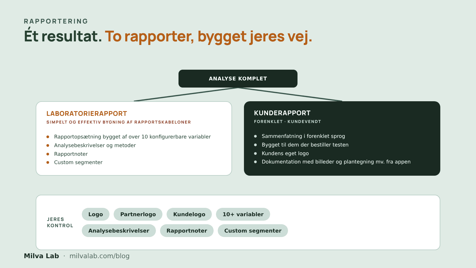 Tilpasselige laboratorierapporter: hvad I reelt styrer